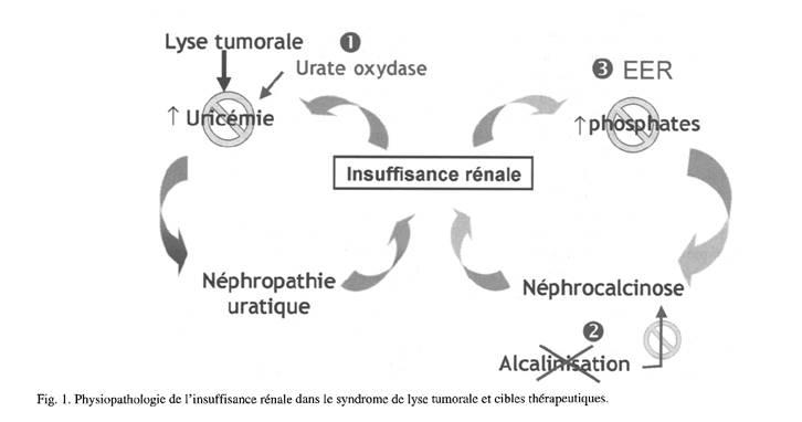 Fasturtec Q3 Oncohématologie CC n°1