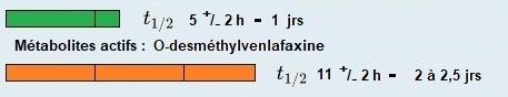 Venlafaxine